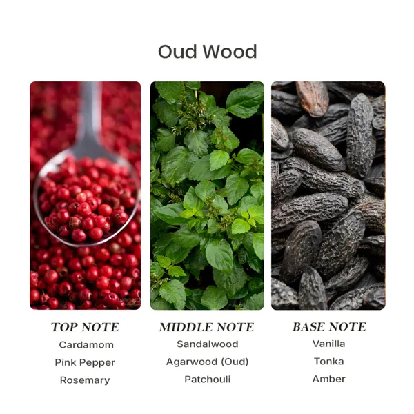 Parfumori_Oud_Wood_Inspired_Perfume_50Ml_|_Warm_Woody_Smoky_Oud_Spicy_|_Long_Lasting_Eau_De_Parfum