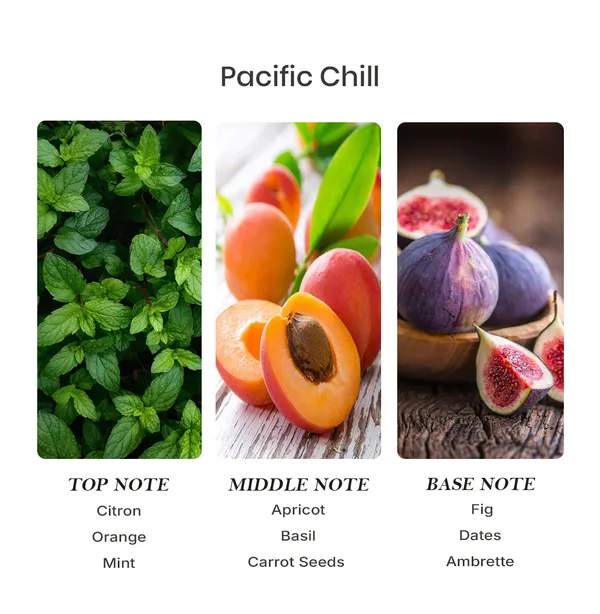 Parfumori_Pacific_Chill_Inspired_Perfume_50Ml_|_Fresh_Citrus_Aquatic_|_Long_Lasting_Eau_De_Parfum