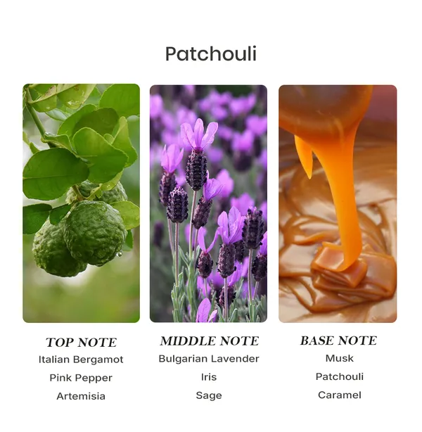 Parfumori_Patchouli_Inspired_Perfume_50Ml_|_Earthy_Woody_Spicy_Warm_Musky_|_Long_Lasting_Eau_De_Parfum