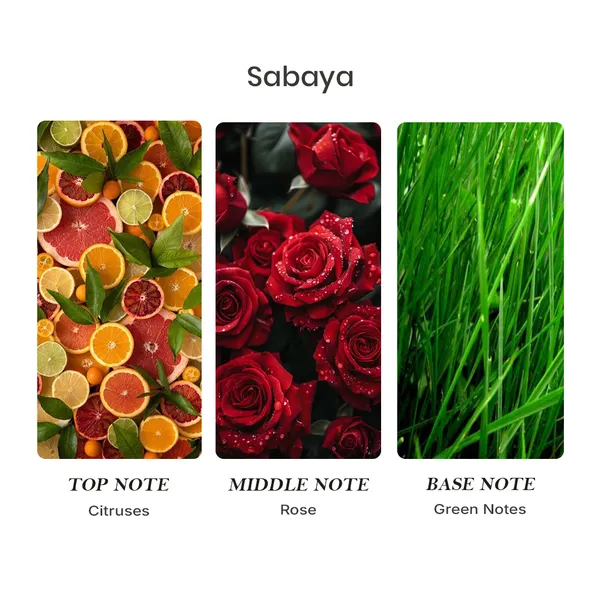 Parfumori_Sabaya_Inspired_Perfume_50Ml_|_Fresh_Fruity_Floral_Musky_Citrus_|_Long_Lasting_Eau_De_Parfum