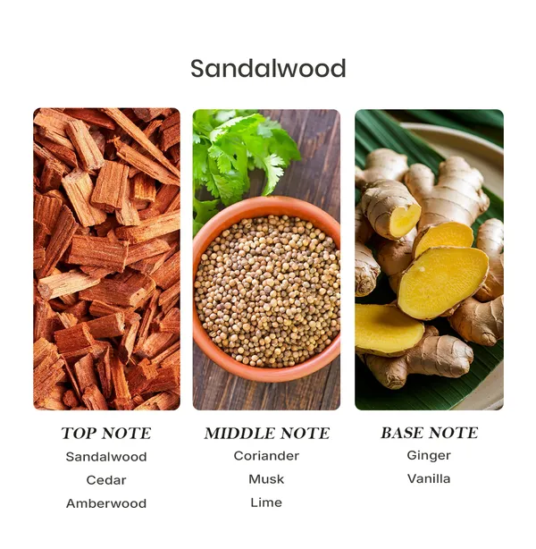 Parfumori_Sandalwood_Inspired_Perfume_50Ml_|_Warm_Woody_Creamy_Sandal_Fresh_|_Long_Lasting_Eau_De_Parfum