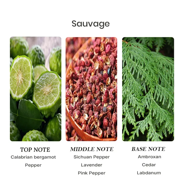 Parfumori_Sovage_Inspired_Perfume_50Ml_|_Fresh_Citrus_Spicy_Aromatic_Woody_Amber_|_Long_Lasting_Eau_De_Parfum