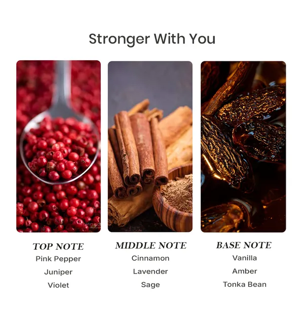 Parfumori_Stronger_By_You_Inspired_Perfume_50Ml_|_Warm_Sweet_Spicy_Vanilla_Chestnut_|_Long_Lasting_Eau_De_Parfum