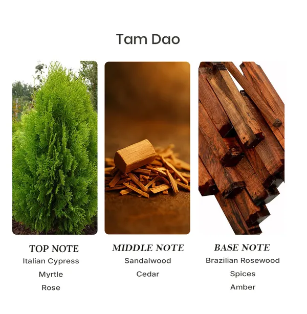 Parfumori_Tam_Dao_Inspired_Perfume_50Ml_|_Woody_Sandalwood_Fresh_Creamy_Aromatic_|_Long_Lasting_Eau_De_Parfum