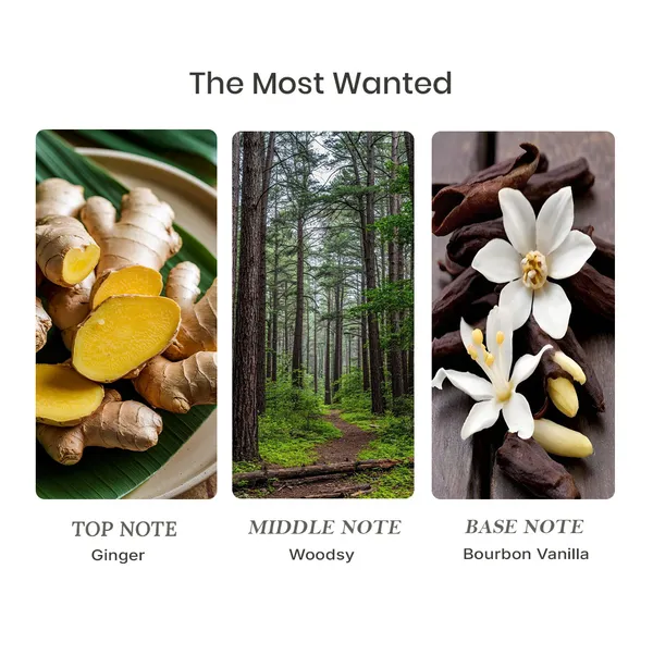 Parfumori_The_Most_Wanted_Inspired_Perfume_50Ml_|_Warm_Sweet_Spicy_Amber_Woody_|_Long_Lasting_Eau_De_Parfum