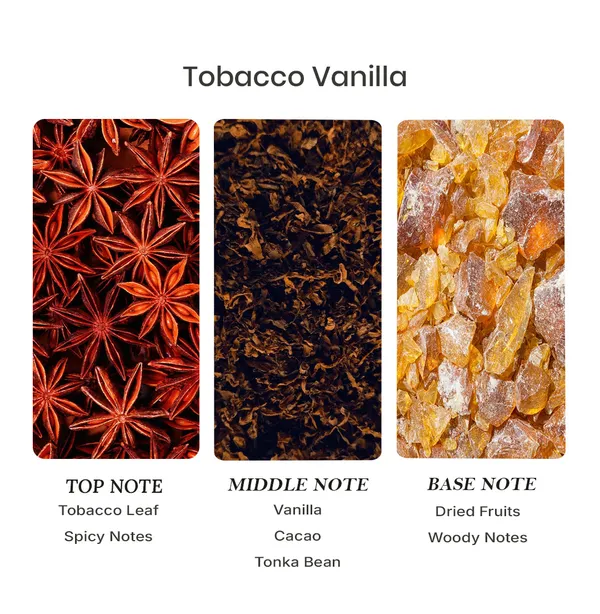 Parfumori_Tobacco_Vanilla_Inspired_Perfume_50Ml_|_Warm_Sweet_Tobacco_Spicy_Vanilla_|_Long_Lasting_Eau_De_Parfum