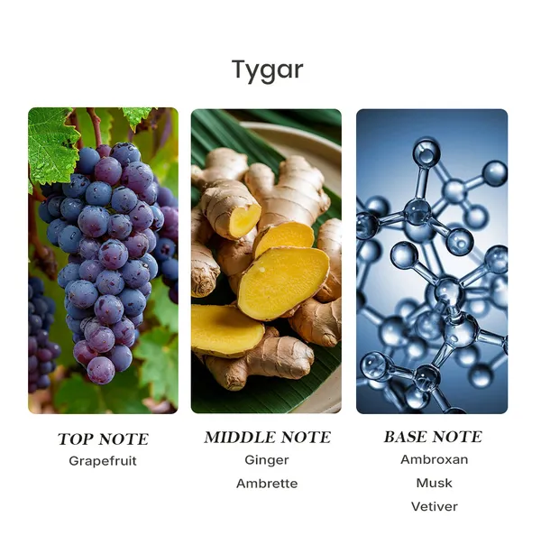 Parfumori_Tygar_Inspired_Perfume_50Ml_|_Fresh_Citrus_Aromatic_Woody_Amber_|_Long_Lasting_Eau_De_Parfum