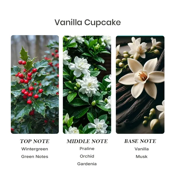 Parfumori_Vanilla_Cupcake_Inspired_Perfume_50Ml_|_Sweet_Warm_Gourmand_Vanilla_Dessert_|_Long_Lasting_Eau_De_Parfum