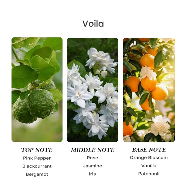 Parfumori_Voila_Men_Inspired_Perfume_50Ml_|_Fresh_Floral_Fruity_Elegant_|_Long_Lasting_Eau_De_Parfum