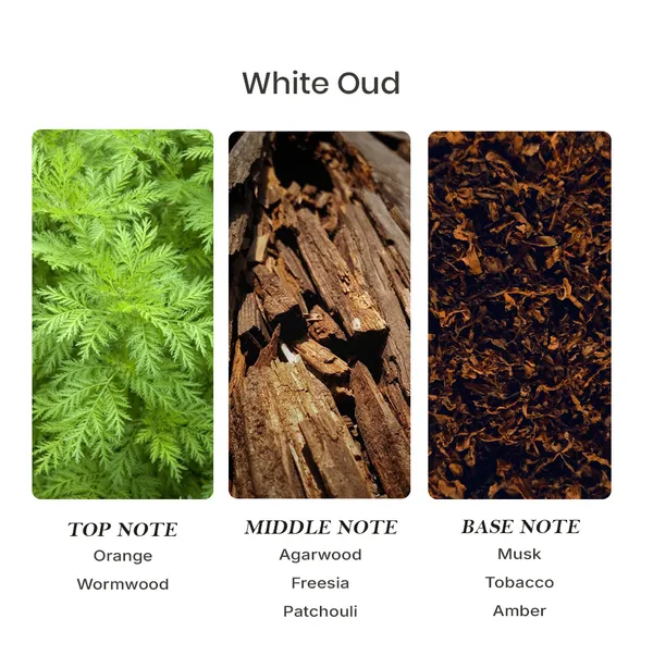 Parfumori_White_Oud_Men_Inspired_Perfume_50Ml_|_Warm_Woody_Smoky_Oriental_|_Long_Lasting_Eau_De_Parfum