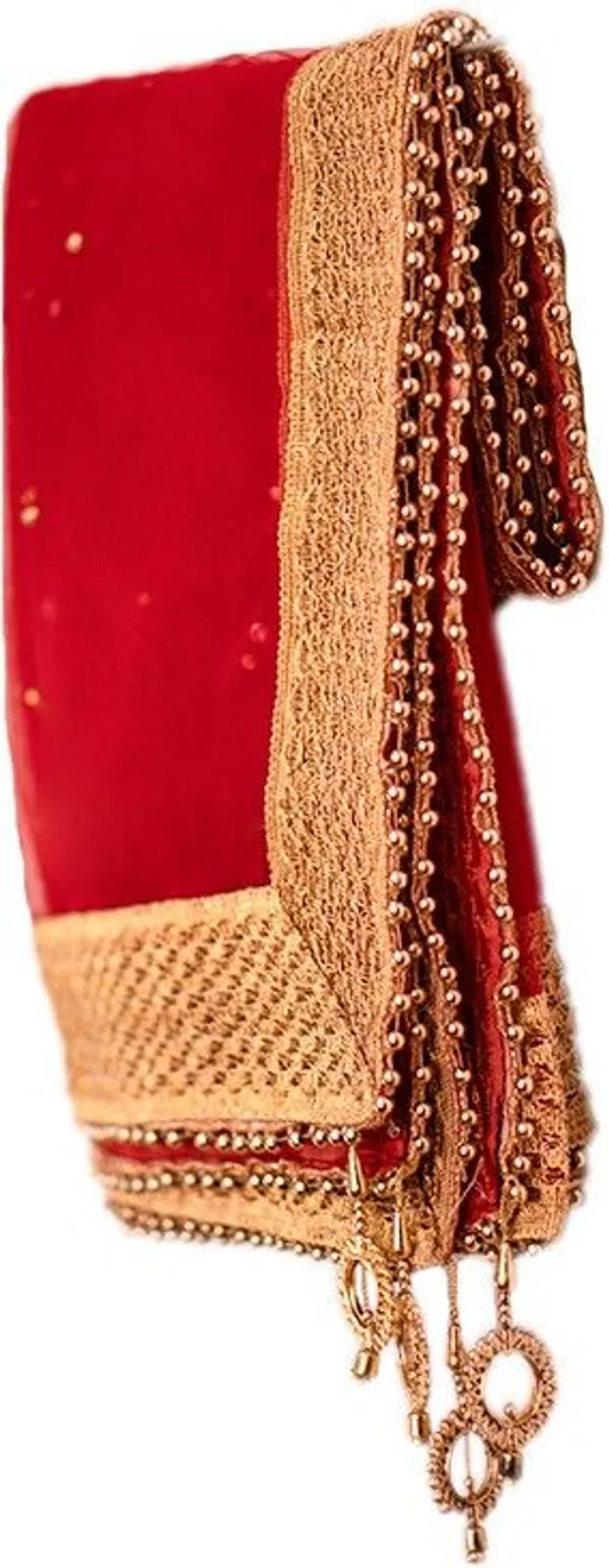 Gold_And_Red_Premium_Net_Embellished_For_Women_Pack_Of_2