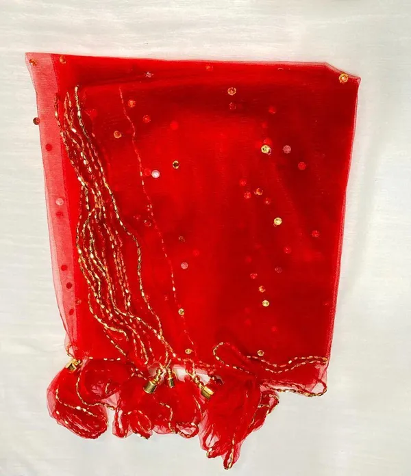 Red_Premium_Net_Self_Design_For_Women