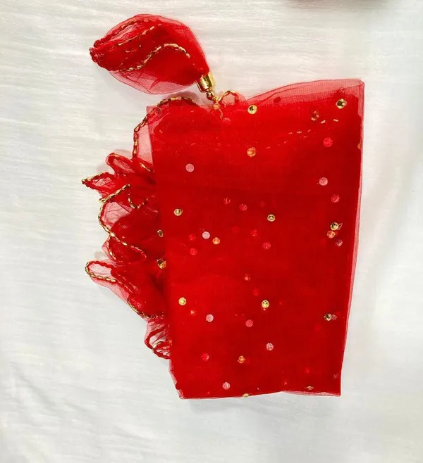 Red_Premium_Net_Self_Design_For_Women