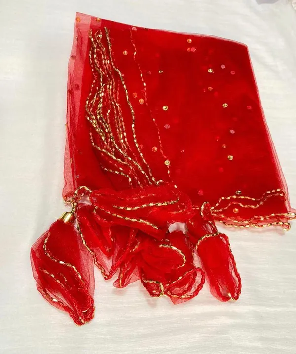 Red_Premium_Net_Self_Design_For_Women