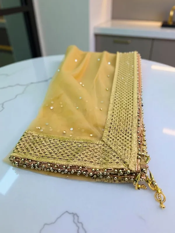 Gold_Premium_Net_Self_Design_For_Women