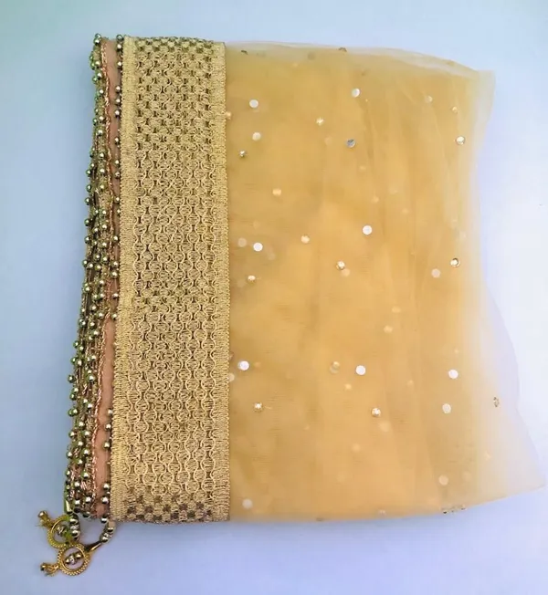Gold_Premium_Net_Self_Design_For_Women