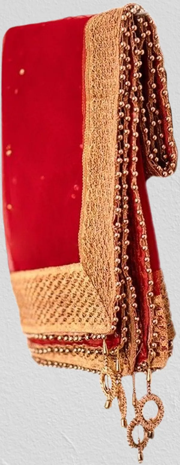 Gold_And_Red_Premium_Net_Embellished_For_Women_Pack_Of_2