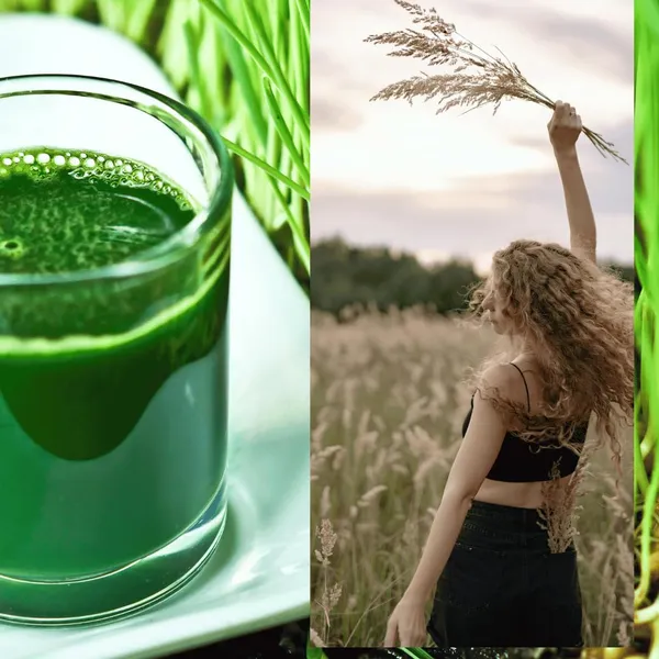 Hygeia_Mullein_Pulmo_Balance_Herbal_Tea_Lung_Support_30_Tea_Bags_And_Hygeia_Wheatgrass_Powder_Detox_Superfood_200_G_Combo