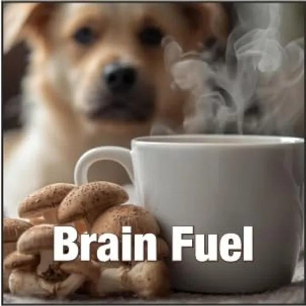 Overclock_Lions_Mane_Mushroom_Coffee_Instant_Ayurvedic_Blend_100_G