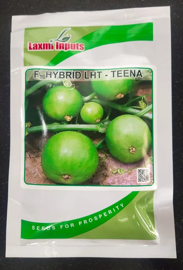 F1_Hybrid_LHT_-_Teena_Round_melon_Seeds_by_Laxmi_Inputs