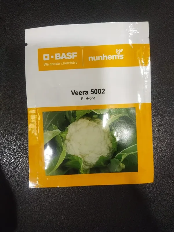 Veera_5002_F1_Hybrid_Cauliflower_Seeds_by_Nunhems