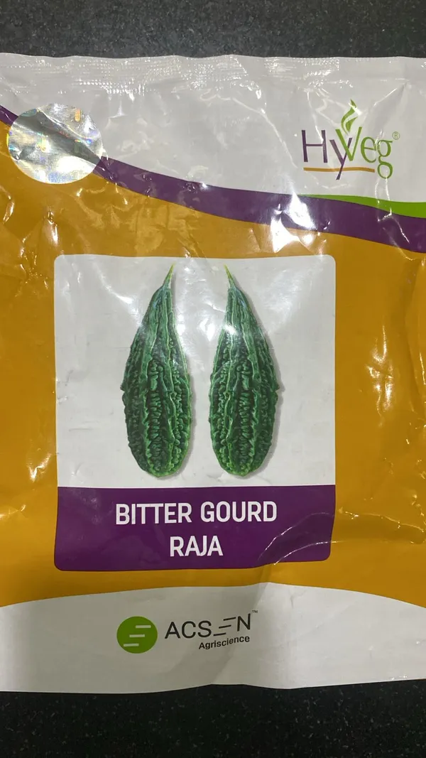Hyveg_Bitter_Gourd_Raja_Seeds_-_Premium_Quality_Vegetable_Seeds_for_Home_Gardening