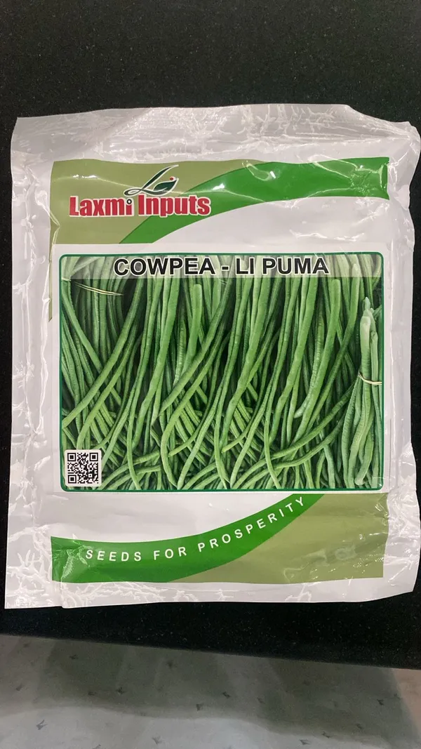 Laxmi_Inputs_Cowpea_Seeds_-_Puma_Variety