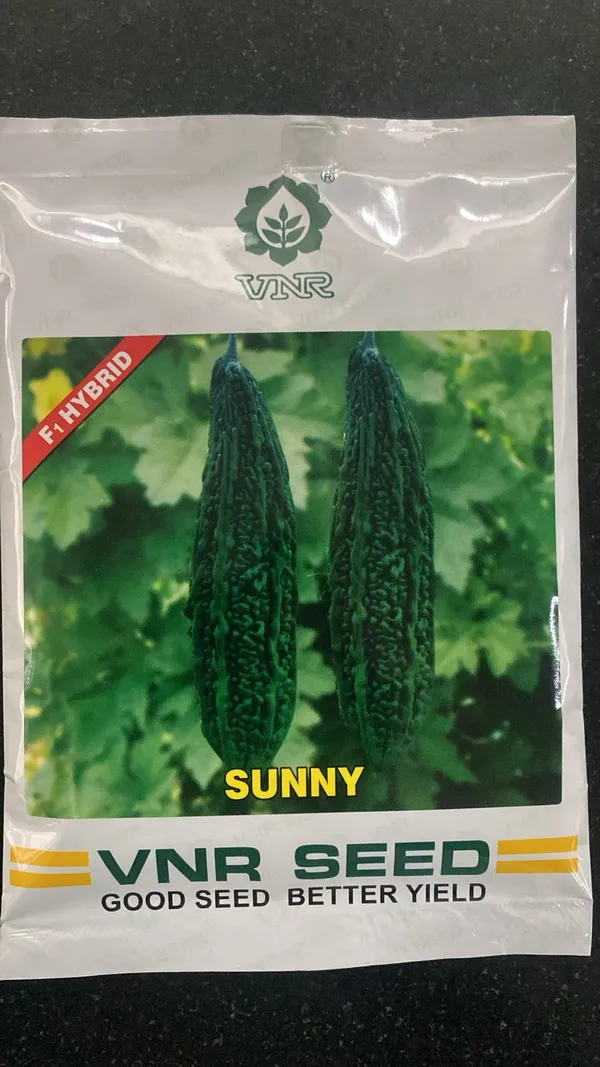 VNR_Sunny_F1_Hybrid_Bitter_Gourd_Seeds