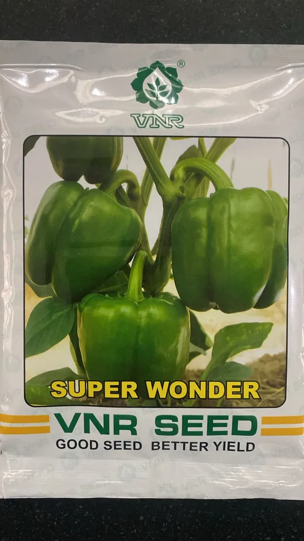 VNR_Super_Wonder_Bell_Pepper_Seeds_-_Green_Capsicum_Vegetable_Seeds