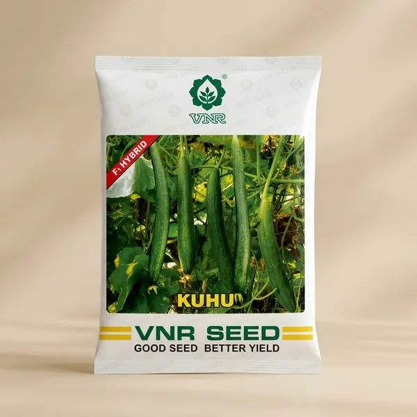 VNR_Kuhu_F1_Hybrid_spoung_Gourd_Seeds_-_High_Yield_Vegetable_Seeds