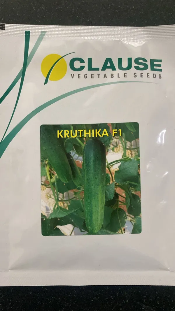 Kruthika_F1_Hybrid_Cucumber_Seeds_by_Clause_Vegetable_Seeds