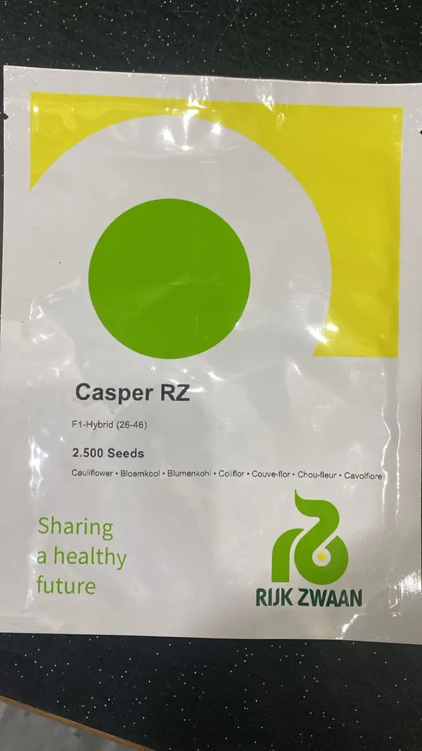 Casper_RZ_F1_Hybrid_Cauliflower_Seeds_-_2500_Seeds_by_Rijk_Zwaan