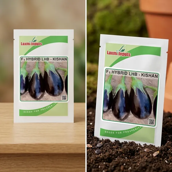 F1_Hybrid_LHB_Kishan_Eggplant_Seeds_-_High_Yield_Brinjal_Seeds