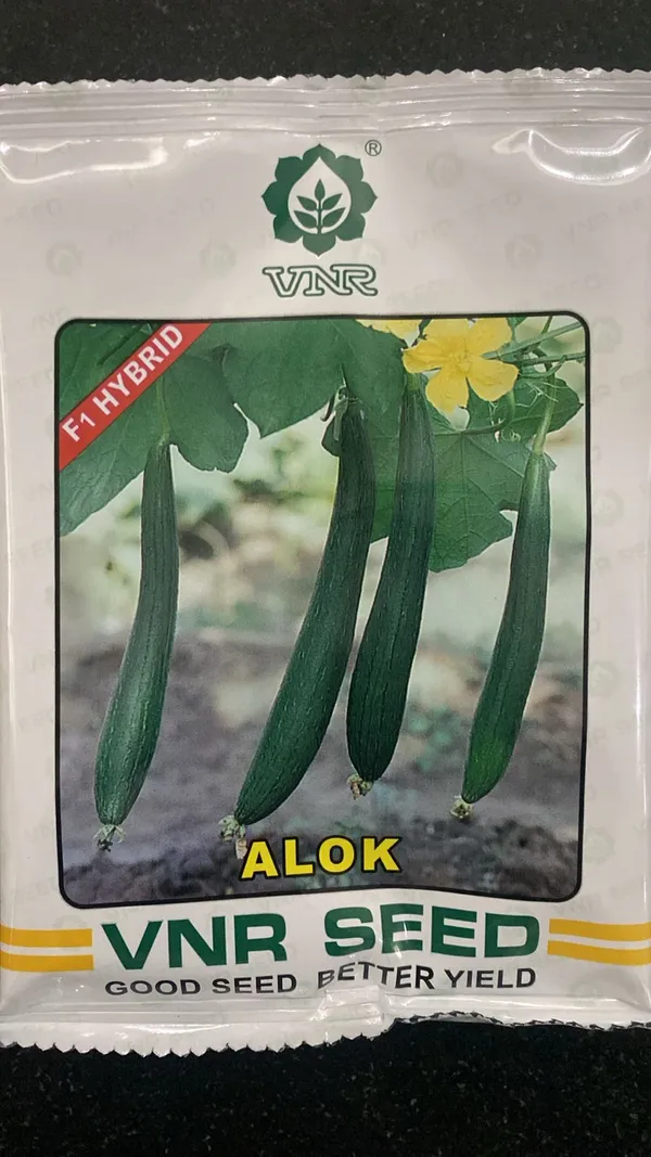 VNR_Alok_F1_Hybrid_Vegetable_Seeds