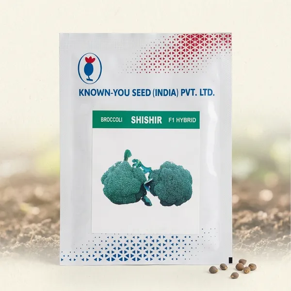 Known-You_Seed_Shishir_F1_Hybrid_Broccoli_Seeds