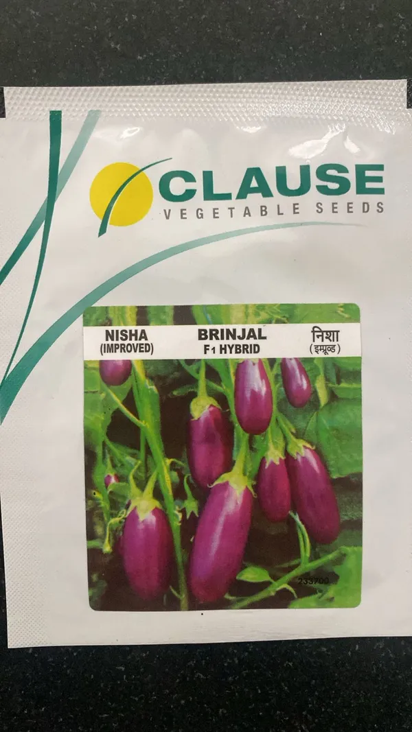 Clause_Nisha_(Improved)_Brinjal_F1_Hybrid_Vegetable_Seeds