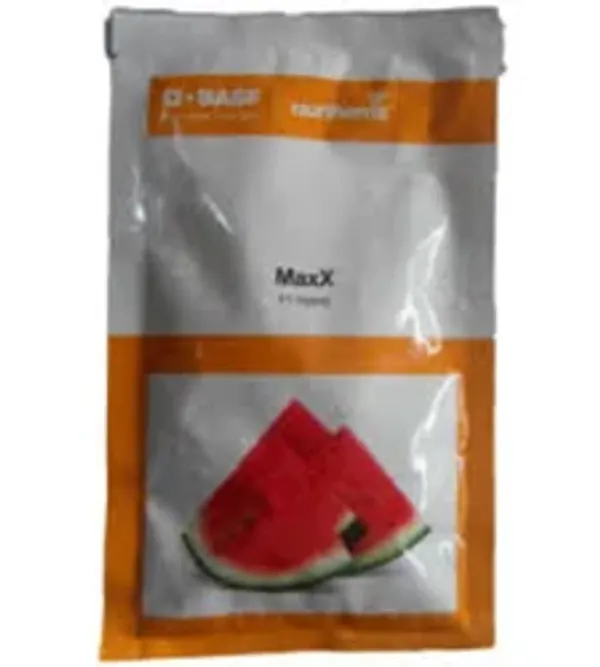 MaxX_BT_Series_Red_Watermelon_Hybrid_Vegetable_Seeds