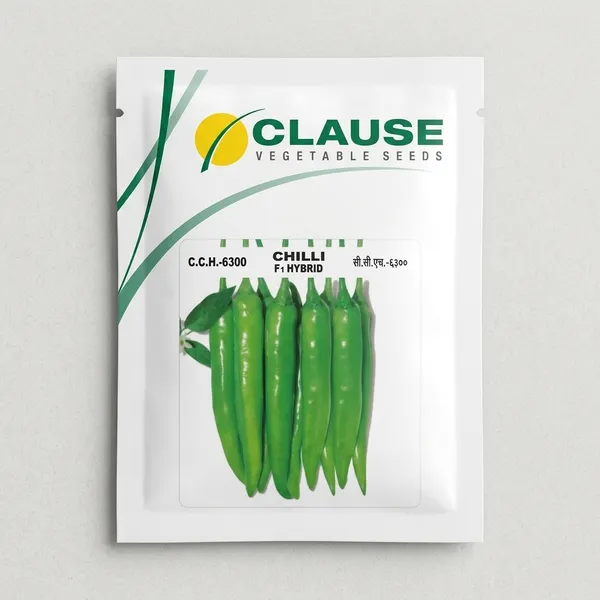 Clause_C.C.H.-6300_Chilli_F1_Hybrid_Vegetable_Seeds