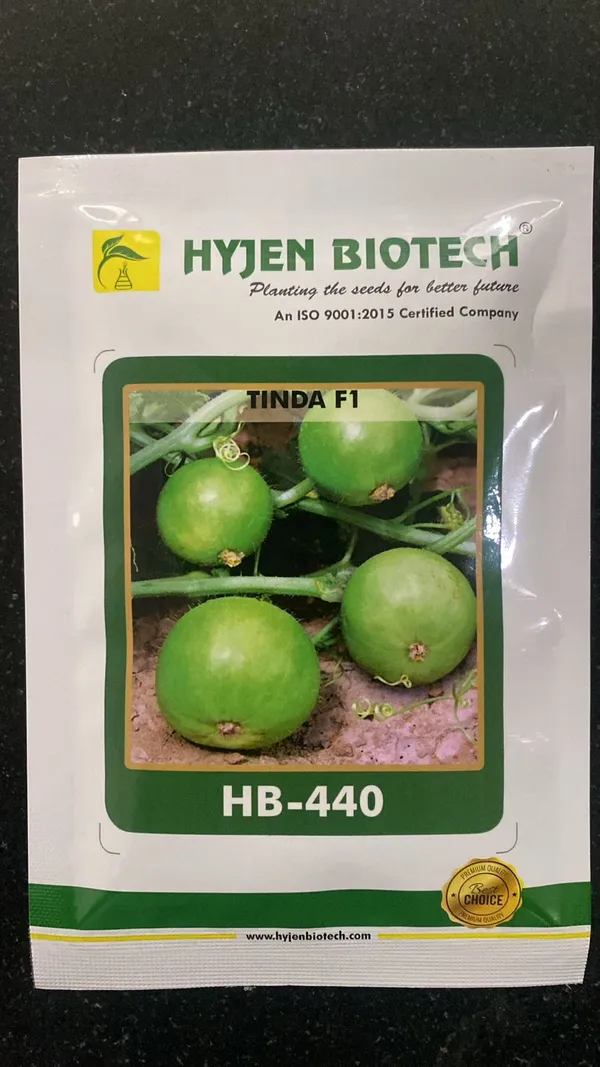 Hyjen_Biotech_Tinda_F1_(HB-440)_Vegetable_Seeds_-_Round_Gourd_Seeds_for_Home_Gardening