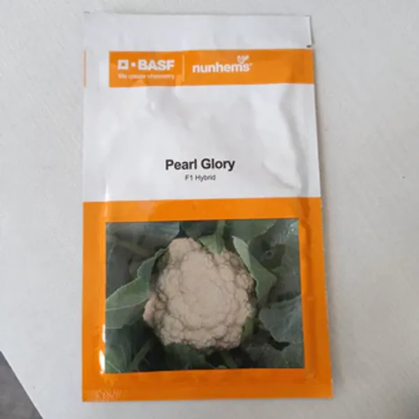 Broccoli_&_Cauliflower_Hybrid_Seeds_Combo_-_Shishir_F1_Broccoli_+_Pearl_Glory_F1_Cauliflower