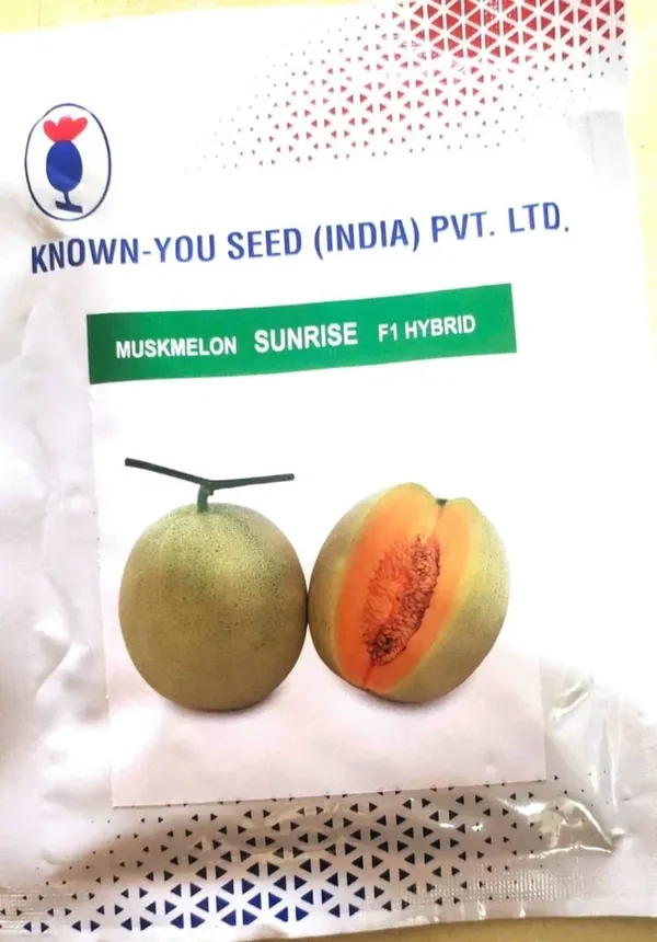 Known-You_Seed_Muskmelon_Sunrise_F1_Hybrid_Seeds
