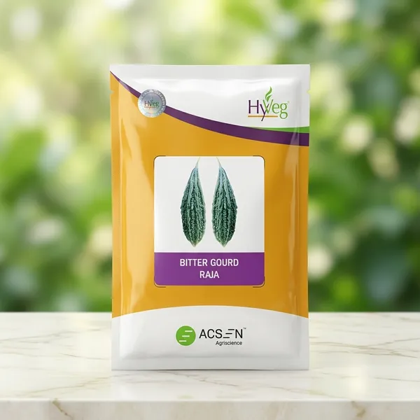 HyVeg_Bitter_Gourd_Raja_Seeds_-_High_Quality_Vegetable_Seeds_for_Home_Gardening