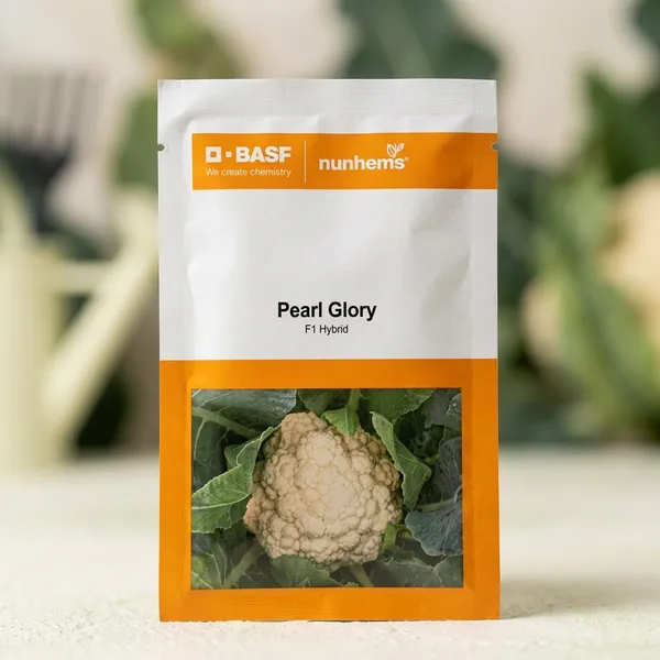 BASF_Nunhems_Pearl_Glory_F1_Hybrid_Cauliflower_Seeds