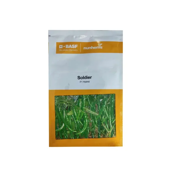 BASF_Nunhems_Madhuraja_F1_Hybrid_Muskmelon_Seeds