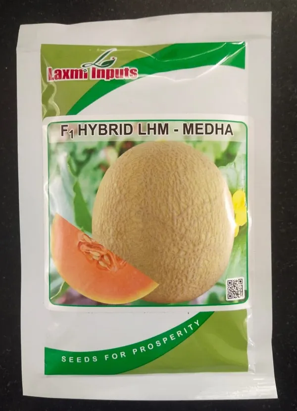 F1_Hybrid_LHM_Medha_Muskmelon_Seeds_-_Premium_Quality_Seeds_for_Home_Gardening