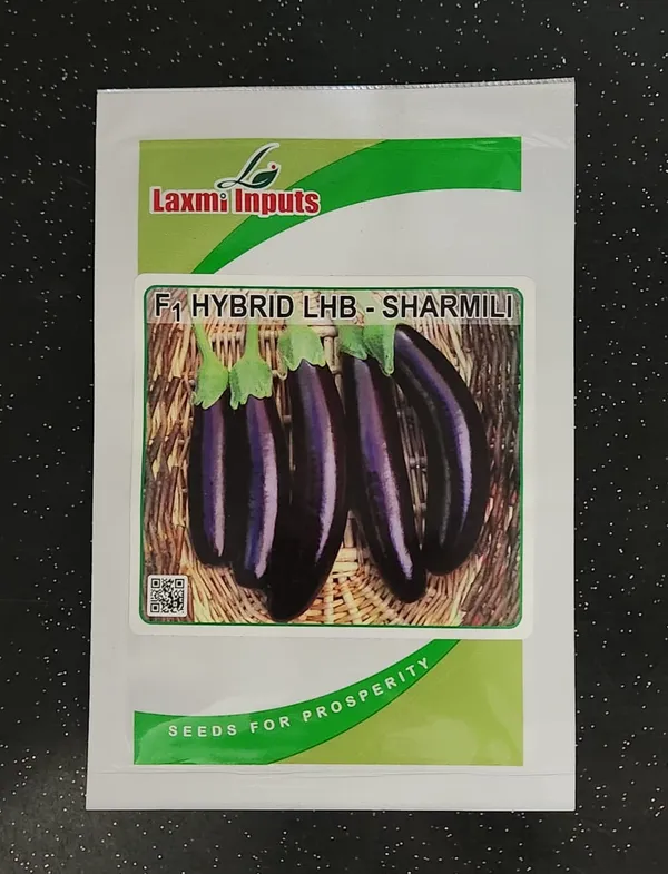 F1_Hybrid_LHB_Sharmili_Brinjal_Seeds_by_Laxmi_Inputs