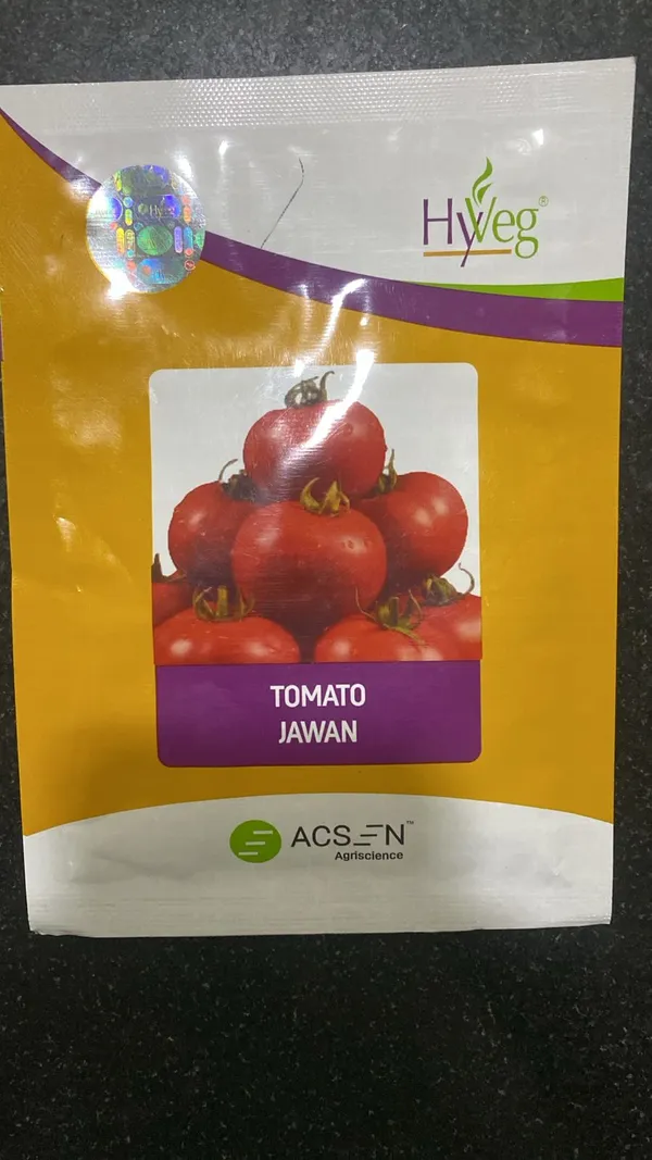 Hyveg_Tomato_Jawan_Seeds_-_Premium_Quality_Vegetable_Seeds_for_Home_Gardening