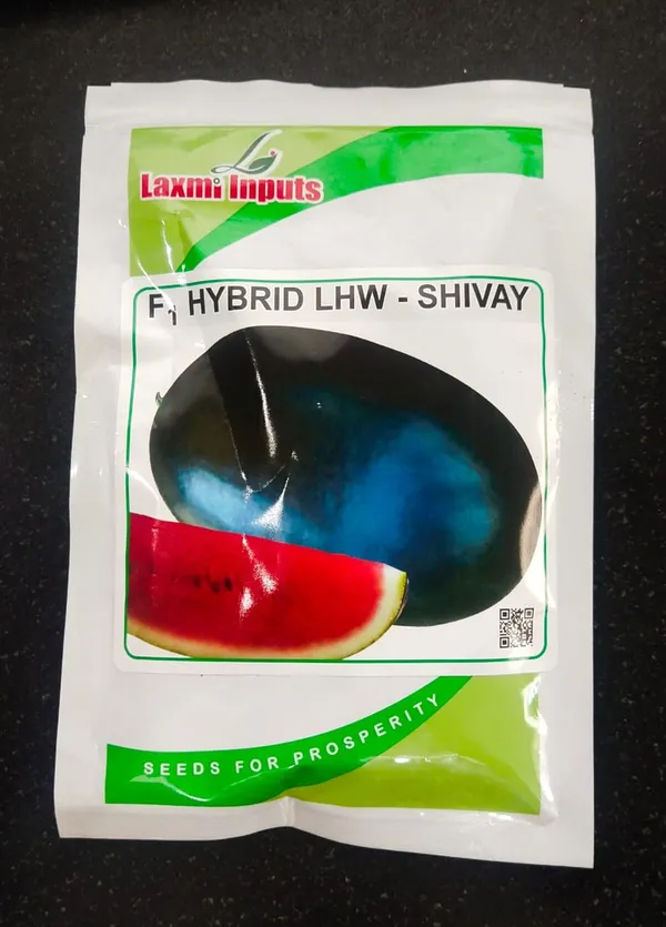F1_Hybrid_LHW-Shivay_Watermelon_Seeds_by_Laxmi_Inputs