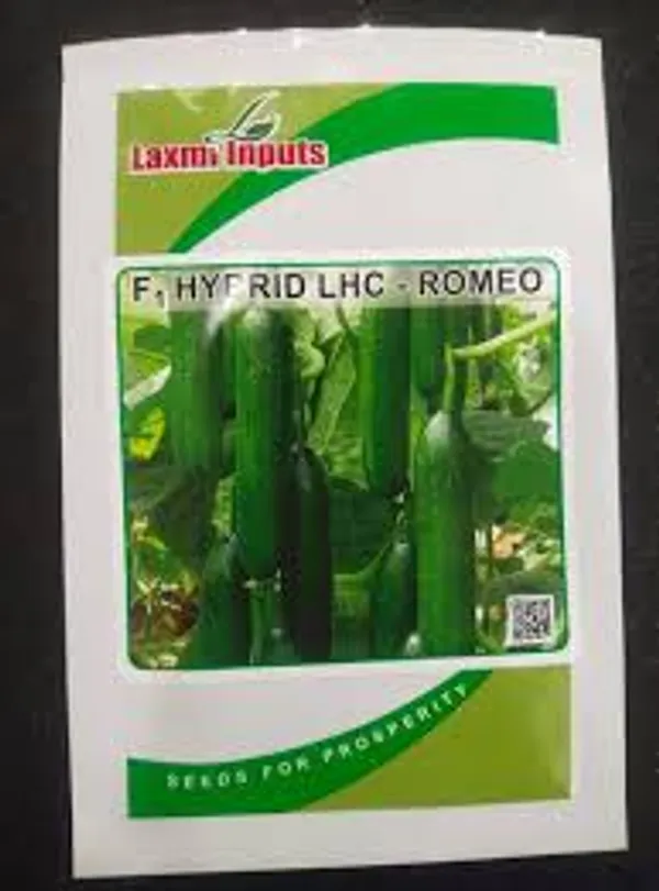F1_Hybrid_LHC_Romeo_Cucumber_Seeds_by_Laxmi_Inputs