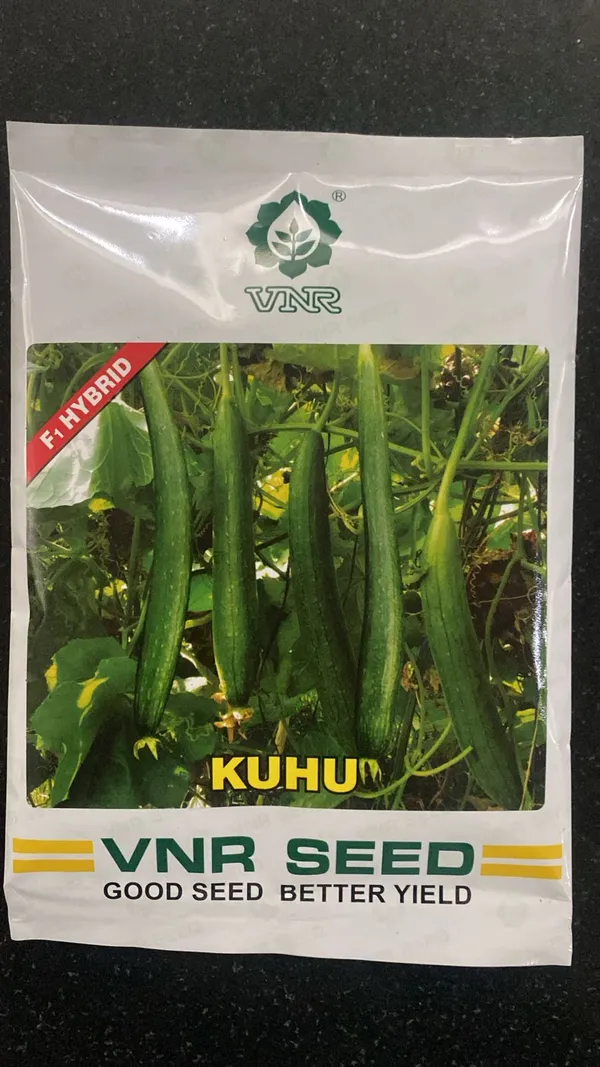 VNR_Kuhu_F1_Hybrid_spoung_Gourd_Seeds_-_High_Yield_Vegetable_Seeds